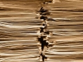 conservazioni-documenti-2